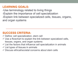 Maybe you would like to learn more about one of these? Cell Specialization In Animals