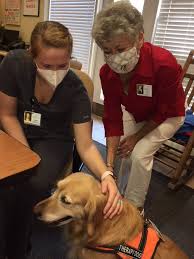 Bourne, ma 02532 all pets medical center llc. Dakota The Dog Helps Hospice Patients