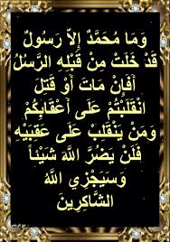 أسباب نزول آيات القرآن و م ا م ح م د إ لا ر س ول ق د خ ل ت م ن ق Blog Posts Arabic Calligraphy Blog