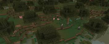 The popular solitaire card game has been around for years, and can be downloaded and played on personal computers. World Anarchy Minecraft Server