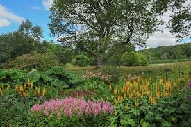 1,000+ Devon Gardner Pictures Stock Photos, Pictures & Royalty-Free Images 