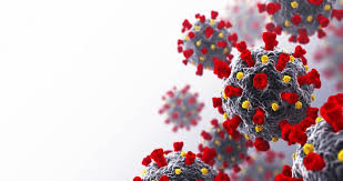 El reino unido alertó que la nueva cepa de coronavirus descubierta en el país se propaga más rápido. Ee Uu Desarrolla Cepa De Coronavirus Para Posibles Pruebas Con Humanos