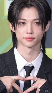 felix cat pouches in jelly