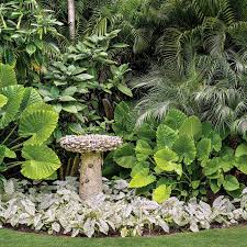 Magnificent Miami Garden In 2020 Vegetable Garden Design Miami Gardens Garden Design