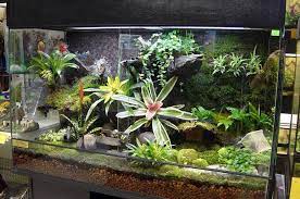What nutrients does a cactus need? Terrarium Fish Tank Terrarium Garden Terrarium Open Terrariums