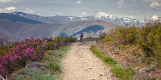 Er ist der pilgerweg zum grab des apostels jakobus in der kathedrale von santiago de compostela in spanien, provinz galicien. Auf Dem Jakobsweg Camino Frances Gefuhrte Gruppenwanderung Fur Frauen Wandern De