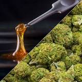 Cannabinoids - Alcohol and Drug Foundation