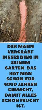 Bewahrt Uralte Methode Pflanzen Vor Austrocknung Zu Bewahren Pflanzen Pflegeleichte Pflanzen Gartenarbeit