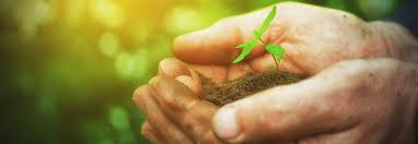 Grabpflege vertrag zum ausdrucken / blumen gertzmann grabpflege. Haufige Fragen Friedhofsgartner Dortmund