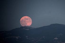 Igaz, a holdfogyatkozást csak online közvetítések révén nézhetjük magyarországról. Nem Is Tudtuk Hogy Letezik Ilyen Januarban Egyszerre Lesz Szuperhold Verhold Farkas Hold Es Teljes Holdfogyatkozas Is 74nullanulla Hu Magazin