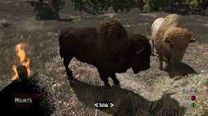 Horses in red dead redemption 2 aren't just mounts for you to . Red Dead Redemption Online All Mounts For Max Prestige Youtube