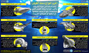 أنواع سمك القرش shark goblin shark frilled shark