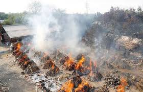 علماء بريطانيون يكشفون عن الأطعمة القاتلة. Ø¨Ø¹Ø¯ Ø§Ù†ØªØ´Ø§Ø± ÙƒÙˆØ±ÙˆÙ†Ø§ ØªÙØ´ÙŠ Ø§Ù„Ø¹ÙÙ† Ø§Ù„Ø£Ø³ÙˆØ¯ ÙÙŠ Ø§Ù„Ù‡Ù†Ø¯ Ù…Ø´Ù‡ÙˆØ±