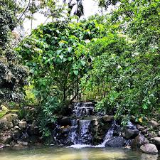 Tanjung hills retreat janda baik. Chengal Hill Janda Baik A Refreshing Retreat