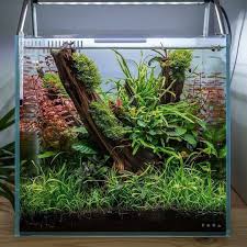 Check out our model aquarium selection for the very best i. Aquarium Scape Hoby Xyz