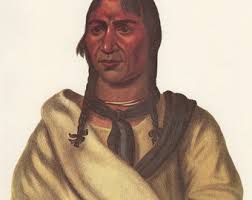 Esh-ta-hum-leah, A Sioux Chief Vintage Native American Indian Print History  Indian Tribes of North America 1978 Vol I