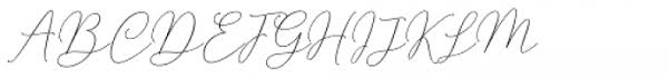 Script mt bold font download. Mindline Script Bold Font What Font Is