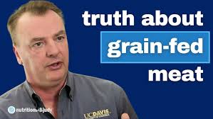 WA SoilCon Session 9: Soil science and ecology in cropping systems