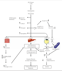 Diabetic ketoacidosis (dka) is a complex disordered metabolic state characterized by hyperglycemia, ketoacidosis, and ketonuria. Diabetic Ketoacidosis A Current Appraisal Of Pathophysiology And Management Semantic Scholar