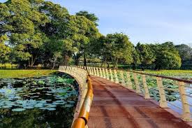 Tapi banyak tempat menarik di shah. Tidak Perlu Travel Jauh Ronda Ronda Sekitar Sepang Pun Cukup Menarik Destinasi Mstar