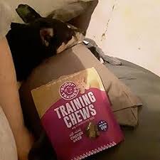 Review Of The Bow Wow Buddy - Whole Dog Journal