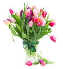 This is the full obituary story where you can express condolences and share memories. Wilmington Nc Flowers And Florists Online Flowers Delivery Service