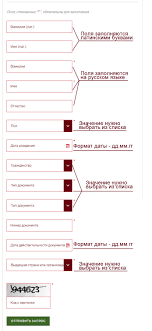 Zapret Na Vezd V Rossiyu Inostrannym Grazhdanam Proverka Osnovaniya Dlya Otmeny Procedura Snyatiya Zapreta Na Vezd V Rf