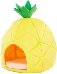 This recipe is courtesy of the blond cook. Amazon Com Yml Pineapple Pet Bed House Small Yellow Dog Houses Pet Supplies