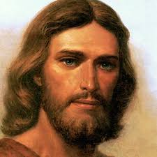 Cole Harbour Ward Members