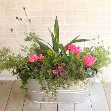 Check spelling or type a new query. Plants Garden Flowers The Home Depot
