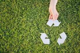 Make Earth Month Count: Use These Strategies To Reduce Paper Waste