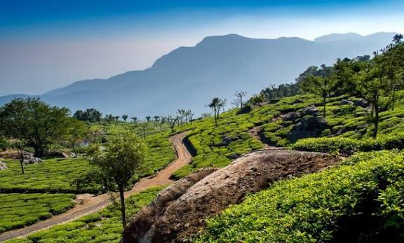 Coonoor Tour