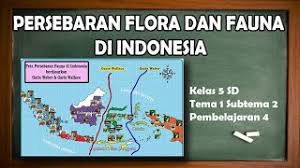 20 flora dan fauna langka asli indonesia beserta gambar flora dan fauna endemik indonesia beserta ciri dan penjelasannya nah untuk dapat menjaga tentu kita pun harus mengenalinya apa peta persebaran flora dan fauna di indonesia beserta jenis. Persebaran Flora Dan Fauna Di Indonesia Kelas 5 Tema 1 Subtema 2 Pembelajaran 4 Youtube