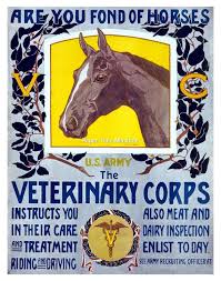 Veterinary Corps Wwi Vintage Digitally Remastered Fine Art Etsy Veterinary Horse Posters Vintage Horse