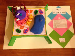 Check spelling or type a new query. 15 3d Cell Project Ideas Cells Project 3d Cell Cell Model