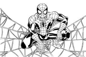 Disegni Di Spiderman Da Colorare Foto Nanopress Donna