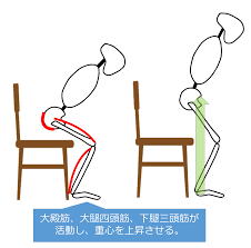 立ち上がりの動作分析 相分けから関節角度 筋活動も含めて解説 白衣のドカタ 白衣 分析 関節