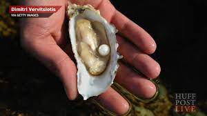 Then, add the same amount of water to the bucket to dilute the bleach. Woman Finds 51 Pearls Inside Oyster Dish Youtube
