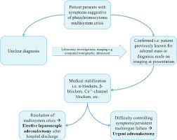 Decision Making Flow Chart For Patients Presenting With Pmc