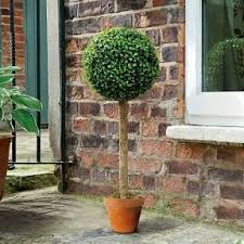 This boxwood ball from 3rd street inn is a great green option that offers the perfect natural touch. Topiary Ornament Gardman Artificial Topiary Ball Tree Oasis Gardening Ltd