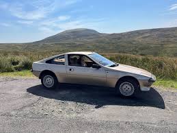 Image result for Silver 1981 Talbot