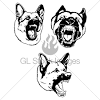 Need help training and caring for your dog? 3