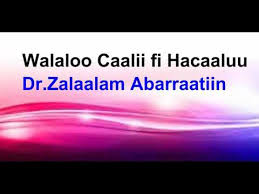 Radio afuura biyyaa's interview with poet zelalem abera (part 2). Download May 04 2013 Rab Zelalem Abera Part 2 Mp4 Mp3 3gp Naijagreenmovies Fzmovies Netnaija