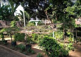 This garden has musical fountain, water bodies, pathways, sitting areas. King S Garden India Gardening Directory