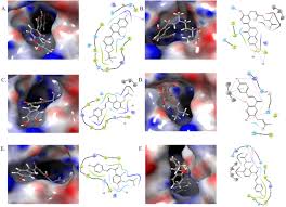 Image result for Psoralea glabra