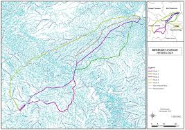 Image result for Ptycholobium plicatum