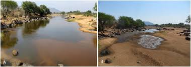River definition, a natural stream of water of fairly large size flowing in a definite course or channel or series of diverging and converging channels. Effects Of The Hippopotamus On The Chemistry And Ecology Of A Changing Watershed Pnas