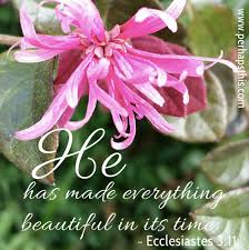 Image result for images Everything Beautiful in His Time