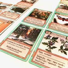The game takes inspiration from titles like settlers of catan, agricola, and. Ecologies Review Boardgamegeek