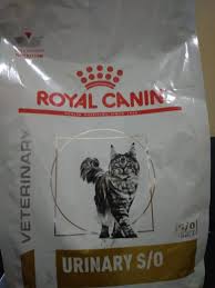 Royal canin hypoallergenic adalah produk makanan kucing yang dirancang secara khusus sesuai saran dokter hewan. Makanan Kucing Royal Canin Gastro Untuk Pencernaan Lazada Indonesia
